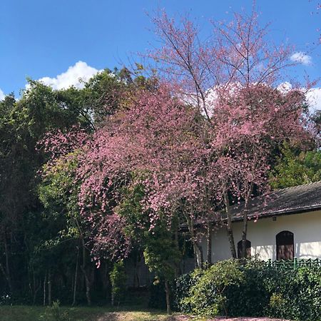 Ninho dos Pássaros Chalés Monte Verde (Minas Gerais) Exterior foto