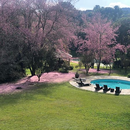 Ninho dos Pássaros Chalés Monte Verde (Minas Gerais) Exterior foto